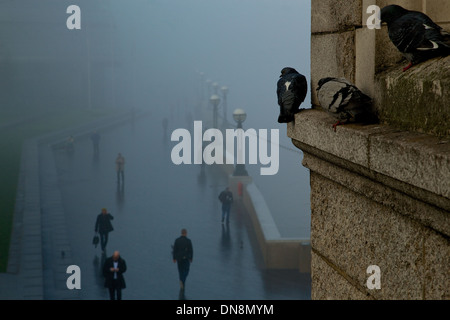 Quelques chiffres le long de la Tamise dans le brouillard, leur ombre reflétée sur la chaussée mouillée, négligé par les pigeons sur un rebord Banque D'Images