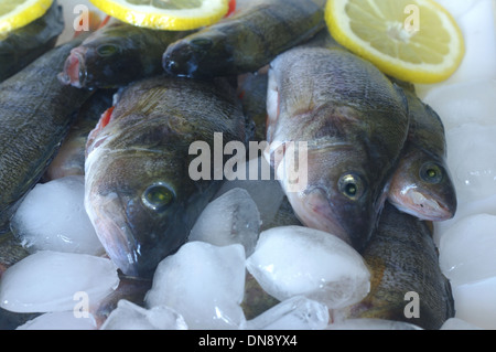 Du poisson frais dans de la glace au citron Banque D'Images