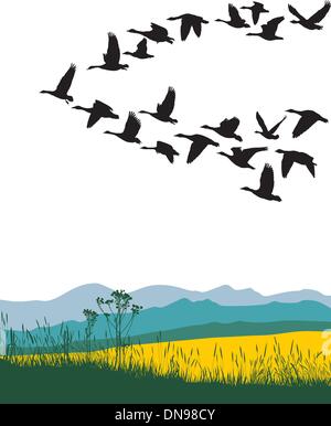Les bernaches en migration au printemps Illustration de Vecteur