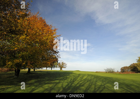 Knole Park Golf Club - voir le haut de la colline avec les arbres d'automne au 13 Green Banque D'Images