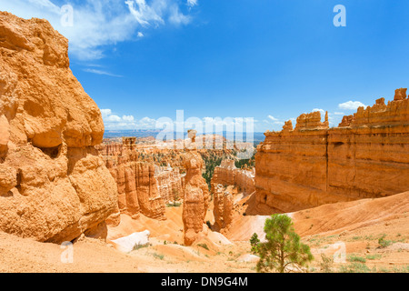 Thors Hammer monolith sur le sentier en boucle Navajo, Sunset Point, Bryce Amphitheater, Bryce Canyon National Park, Utah, USA Banque D'Images