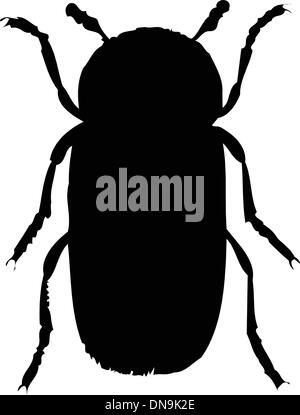 Bug silhouette sur fond blanc, vector illustration Illustration de Vecteur