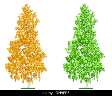 Arbre du bouleau Illustration de Vecteur