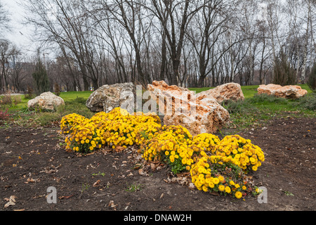 Matin de novembre dans un parc à Donetsk, Ukraine Banque D'Images