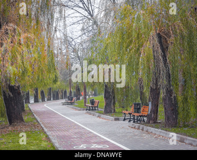 Matin de novembre dans un parc à Donetsk, Ukraine Banque D'Images