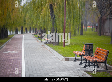 Matin de novembre dans un parc à Donetsk, Ukraine Banque D'Images