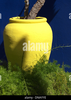 Pot d'argile jaune dans le jardin Banque D'Images