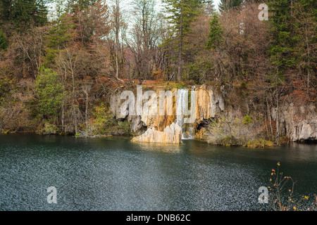 Paysage cascade tranquille au milieu de forêt d'automne Banque D'Images