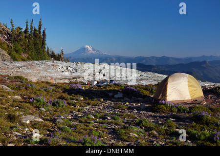 WASHINGTON - Mont Adams vue d'un camping sur l'épaule de Pyramid Mountain dans le Parc National de Mount Rainier. Banque D'Images