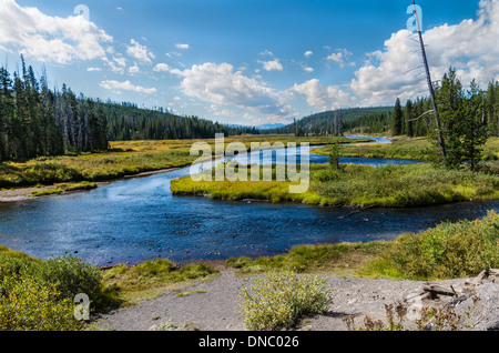 Vue sur la rivière Lewis comme il s'écoule de Lewis Lake et rejoint la rivière Snake. Le Parc National de Yellowstone au Wyoming Banque D'Images