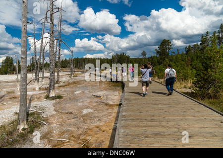 Visiteurs sur le Boardwalk at Fountain Paint Pot zone thermique avec les arbres morts. Le Parc National de Yellowstone au Wyoming Banque D'Images