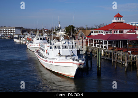 Des bateaux nolisés blancs bordent le quai de la marina de Lewes, Delaware, États-Unis, offrant une vue panoramique sur la côte de cette destination balnéaire populaire. Banque D'Images