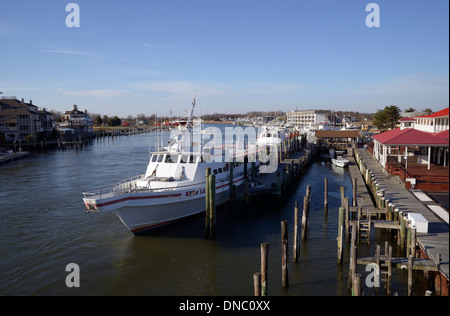 Des bateaux nolisés blancs bordent le quai de la marina de Lewes, Delaware, États-Unis, offrant une vue panoramique sur la côte de cette destination balnéaire populaire. Banque D'Images