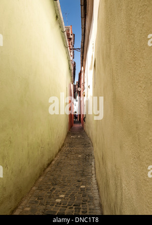 Rue (Strada Sforii corde) dans la vieille ville de Brasov, une ville dans la région de Transylvanie centrale de Roumanie. Banque D'Images