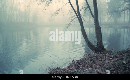 Le lac sombre en plein cœur de la vieille forêt Banque D'Images