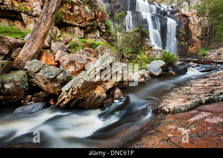 McKenzie Falls dans le Parc National des Grampians. Banque D'Images