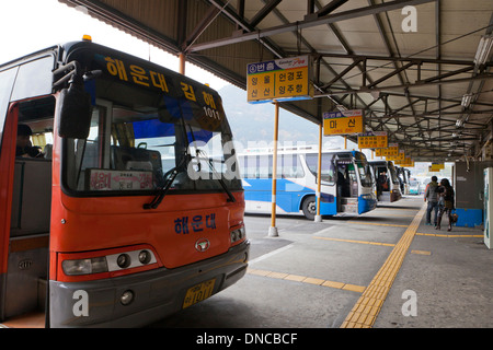 Bus terminal - Busan, Corée du Sud Banque D'Images