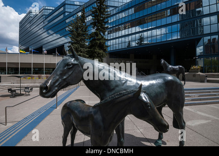 Une Jument et poulain négligé par un étalon debout sur la terrasse de la ville de Calgary, les bâtiments municipaux Banque D'Images