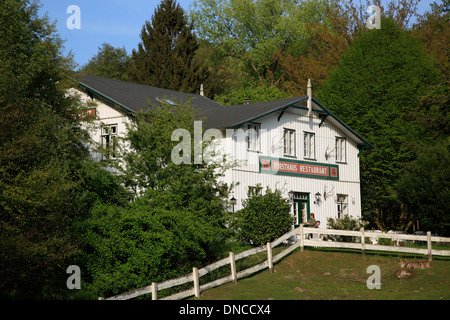 Restaurant FORSTHAUS dans Friedrichsruh-Aumuehle, Sachsenwald, Schleswig-Holstein, Allemagne, Europe Banque D'Images