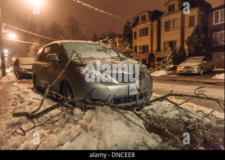 Toronto, Canada. Dec 22, 2013. Les arbres sont tombés à travers Toronto endommager les lignes électriques et les voitures. La pluie verglaçante s'accrochaient à chaque surface de la région du Grand Toronto, l'abattage des arbres et des lignes électriques. Credit : Victor Biro/Alamy Live News Banque D'Images