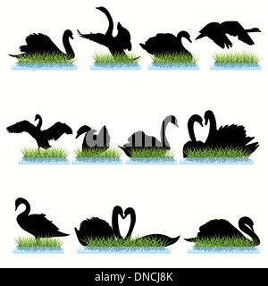 Jeu de silhouettes des cygnes Illustration de Vecteur