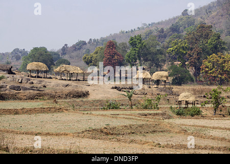 L'établissement village tribal, Orissa, Inde Banque D'Images