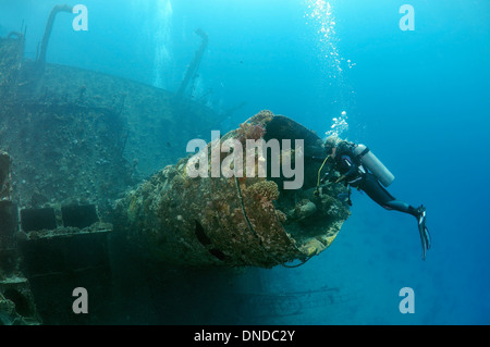 Plongeur à la recherche de shipwreck 'Giannis D'. Red Sea, Egypt, Africa Banque D'Images