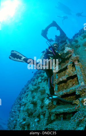 Plongeur à la recherche de shipwreck 'Giannis D'. Red Sea, Egypt, Africa Banque D'Images