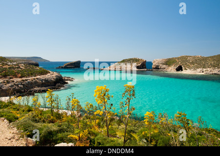 Une vue de la brillante, eaux turquoise du Blue Lagoon de Comino, Malte. L'îlot de Cominotto est sur la droite. Banque D'Images