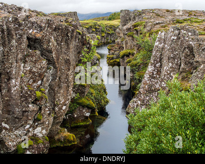 - Thingvellir environnement tectonique et volcanique comme une vallée du rift. Banque D'Images