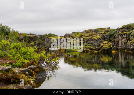 - Thingvellir environnement tectonique et volcanique comme une vallée du rift. Banque D'Images