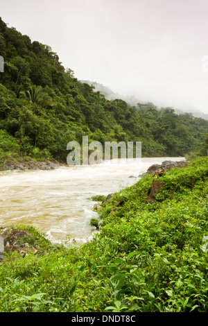 La rivière macal débordante après une pluie en novembre 2013 Belize Banque D'Images