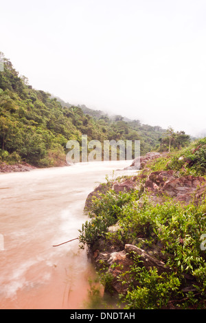 La rivière macal débordante après une pluie en novembre 2013 Belize Banque D'Images