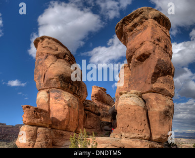 L'éventail de fonctionnalités de grès connu sous le nom de Devil's Kitchen dans le Colorado National Monument près de Grand Junction, Colorado Banque D'Images