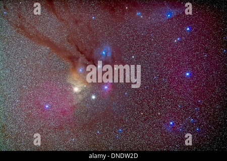 Tête de Scorpius avec celestial objets du ciel profond. Banque D'Images