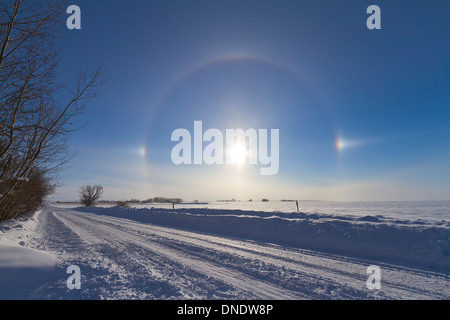 30 janvier 2011 - Halo solaire et sundogs, dans le sud de l'Alberta, Canada. Banque D'Images