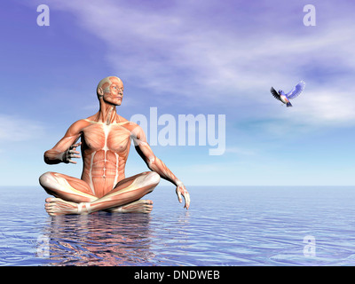 Musculature homme en position du lotus sur l'eau tout en regardant un beau petit oiseau voler. Banque D'Images