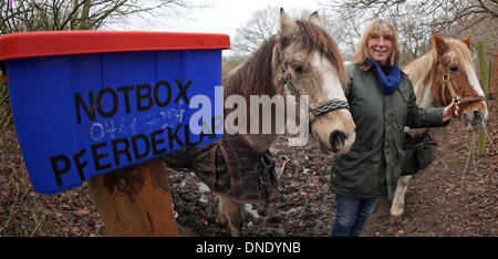 Norderbrarup, Allemagne. Dec 18, 2013. Petra Teegen, initiateur de la première berline cheval pose avec les poneys "Beachboy' (L) et 'pirate' à l'entrée du cheval éclosent en Norderbrarup, Allemagne, 18 décembre 2013. Les propriétaires de chevaux peuvent laisser leurs animaux de façon anonyme à l'urgence, l'fort. Photo : Axel Heimken/dpa/Alamy Live News Banque D'Images