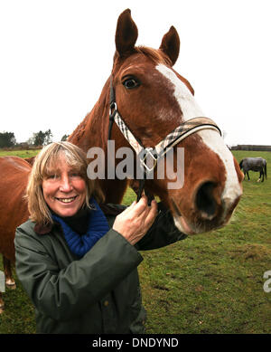 Norderbrarup, Allemagne. Dec 18, 2013. Petra Teegen, initiateur de la première éclosion de chevaux, pose avec le cheval 'Gina' dans les locaux de l'horse éclosent en Norderbrarup, Allemagne, 18 décembre 2013. Les propriétaires de chevaux peuvent laisser leurs animaux de façon anonyme à l'urgence, l'fort. Photo : Axel Heimken/dpa/Alamy Live News Banque D'Images