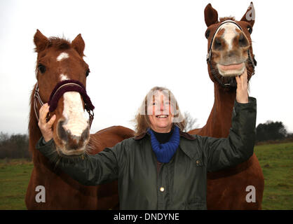 Norderbrarup, Allemagne. Dec 18, 2013. Petra Teegen, initiateur de la première berline cheval pose avec les chevaux 'Capriole' (L) et 'Gina' à l'entrée du cheval éclosent en Norderbrarup, Allemagne, 18 décembre 2013. Les propriétaires de chevaux peuvent laisser leurs animaux de façon anonyme à l'urgence, l'fort. Photo : Axel Heimken/dpa/Alamy Live News Banque D'Images