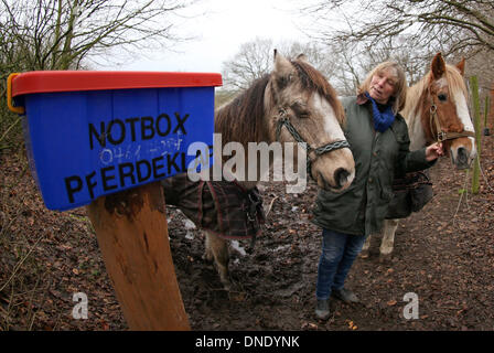 Norderbrarup, Allemagne. Dec 18, 2013. Petra Teegen, initiateur de la première éclosion de chevaux, pose avec les chevaux "Beachboy' (L) et 'pirate' à l'entrée du cheval éclosent en Norderbrarup, Allemagne, 18 décembre 2013. Les propriétaires de chevaux peuvent laisser leurs animaux de façon anonyme à l'urgence, l'fort. Photo : Axel Heimken/dpa/Alamy Live News Banque D'Images