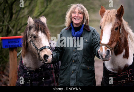 Norderbrarup, Allemagne. Dec 18, 2013. Petra Teegen, initiateur de la première berline cheval pose avec les chevaux "Beachboy' (L) et 'pirate' à l'entrée du cheval éclosent en Norderbrarup, Allemagne, 18 décembre 2013. Les propriétaires de chevaux peuvent laisser leurs animaux de façon anonyme à l'urgence, l'fort. Photo : Axel Heimken/dpa/Alamy Live News Banque D'Images