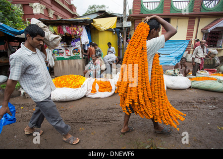 Mallick Ghat Marché Aux Fleurs - Kolkata (Calcutta), Inde Banque D'Images