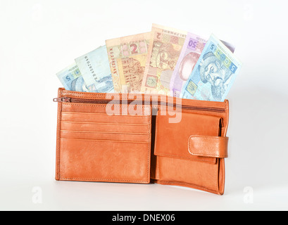 Men's wallet purse Banque D'Images