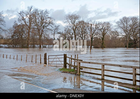 Tonbridge, Kent, UK 24 décembre 2013. L'inondation sur la rivière Medway Tonbridge à Leigh Road Crédit : Patrick nairne/Alamy Live News Banque D'Images