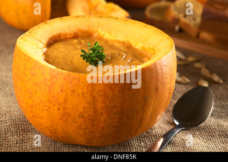 Soupe de potiron crémeux frais servi dans une citrouille et garni de persil (Selective Focus, Focus sur le persil) Banque D'Images