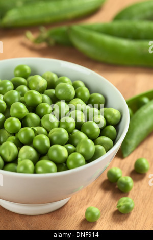 Matière première fraîche de petits pois (lat. Pisum sativum) dans un bol blanc (Selective Focus, Focus sur les pois dans le milieu de la cuvette) Banque D'Images