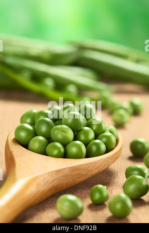 Matière première fraîche de petits pois (lat. Pisum sativum) Graines sur cuillère en bois Banque D'Images