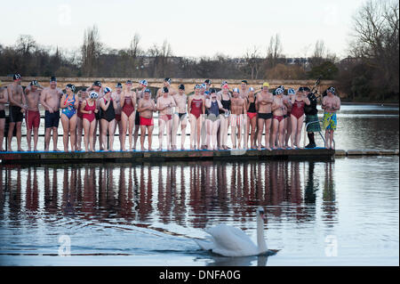 Londres, Royaume-Uni. Le 25 décembre 2013. La serpentine, à Hyde Park, Londres, UK. Les membres de la Serpentine Swimming Club Peter Pan Cup à Londres Londres en concurrence pour les Peter Pan Cup, une course de 100 mètres annuel organisé depuis 1904. L'événement prend son nom d'lorsque J.M. Barrie a présenté la première tasse. Credit : Lee Thomas/Alamy Live News Banque D'Images