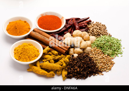 Épices, poudre de curcuma, piment, Curry, cannelle, Curcuma, girofle, piment, pois chiche, fenouil, poivre blanc Banque D'Images